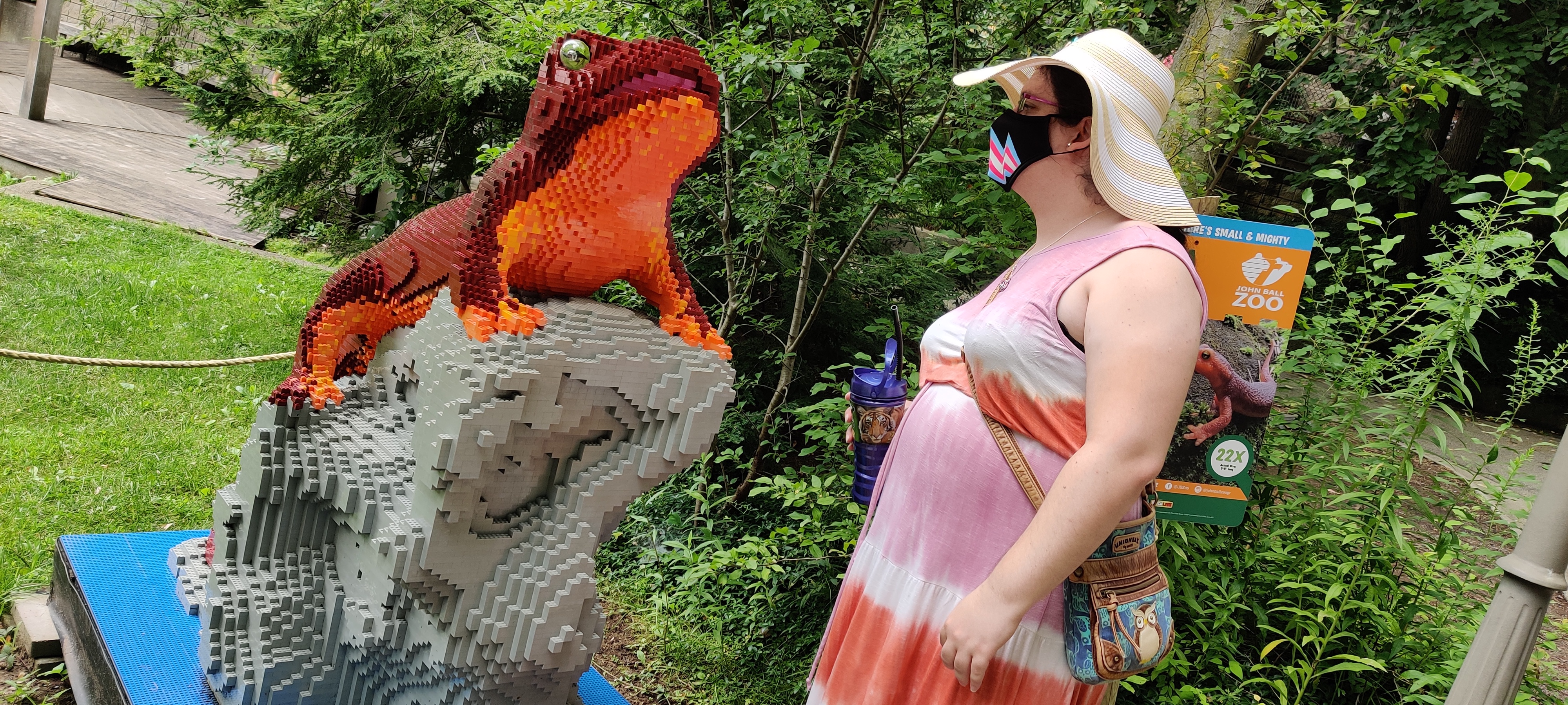 A Jamie investigates a model of a tree frog made from LEGO