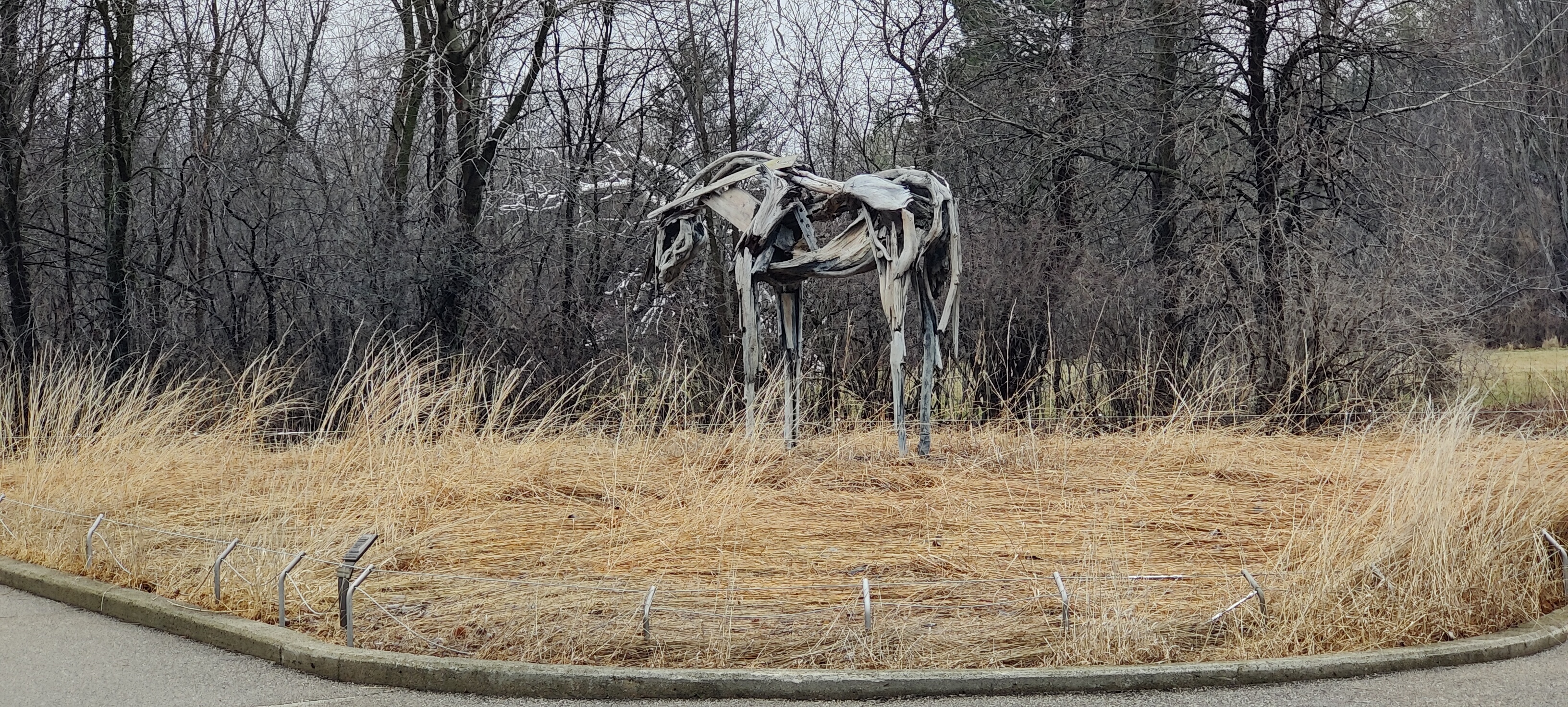 Lovely desolation. (Deborah Butterfield. _Cabin Creek_, 1999.)